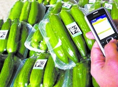 探索“掃碼觀菜、冷鏈出菜”新模式 讓農(nóng)產(chǎn)品更安全直達(dá)餐桌